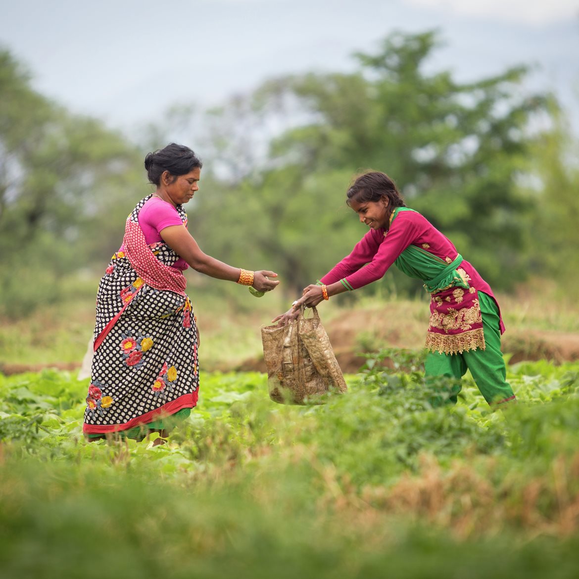 2019-nepal-Job creation