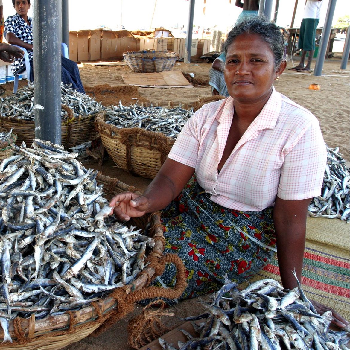 2000-sri-lanka-fish-marked-photo-egil-mongstad (1308x1328)