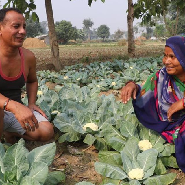 Jobben min: Bonde i Nepal